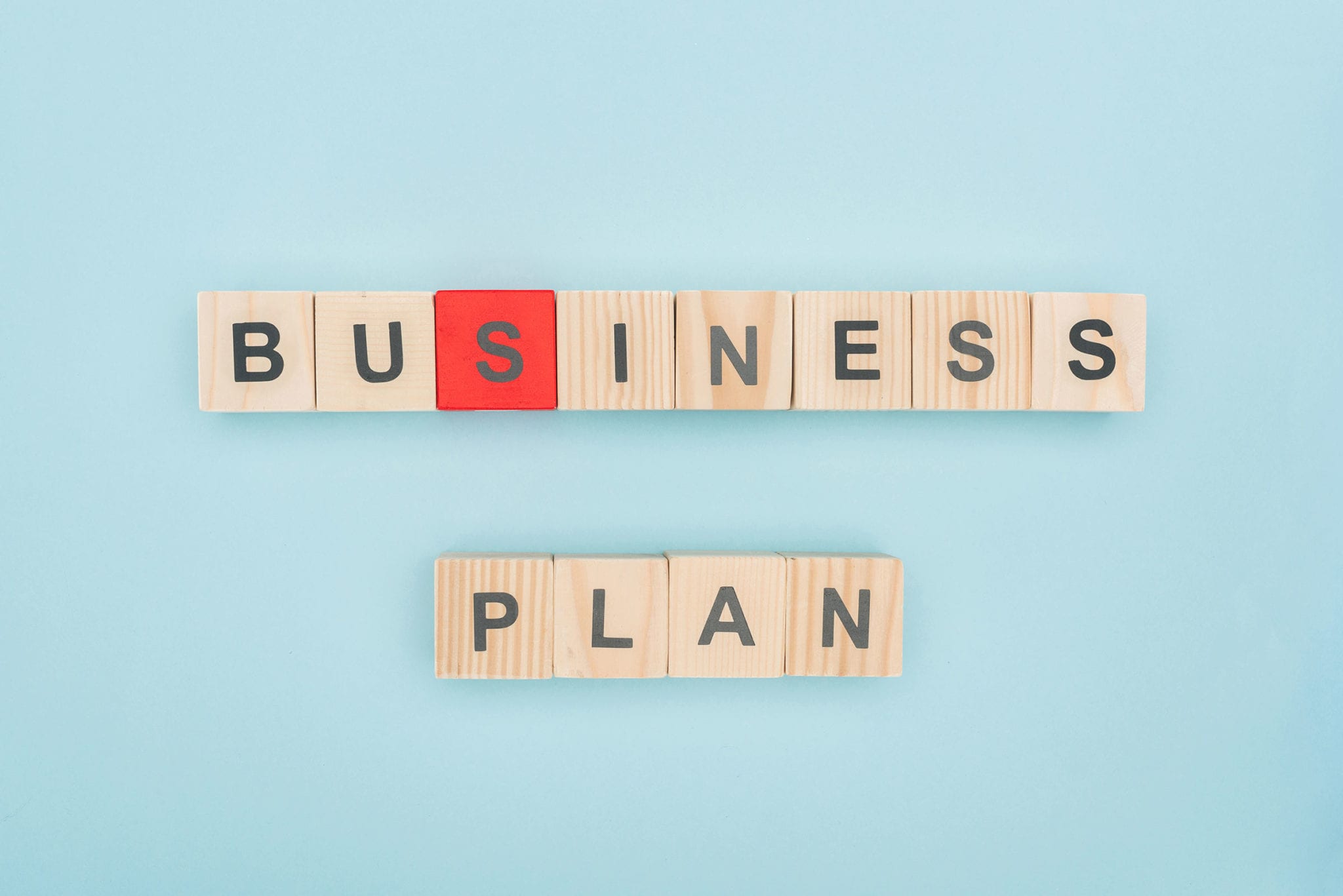 2019 business plan