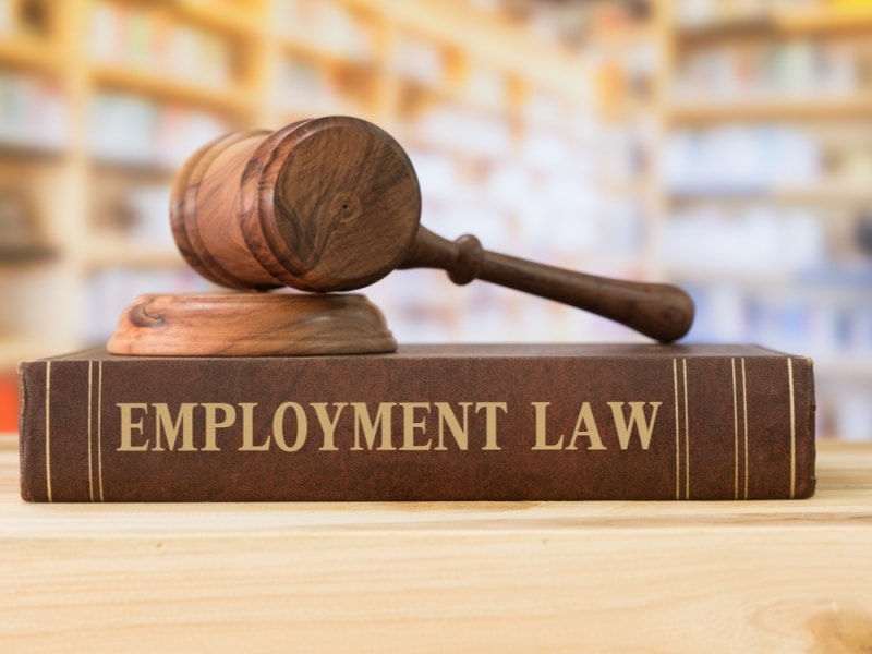 Multiple Reasons Why You May Need an Employment Lawyer - Tweak Your Biz