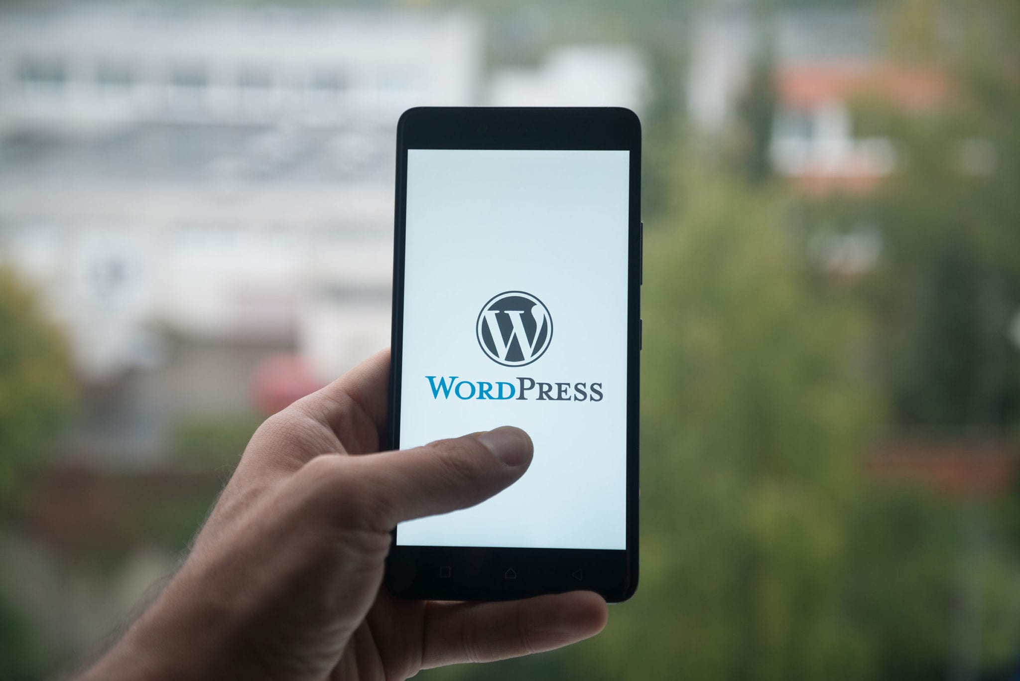 Amazing WordPress Websites You Can Build