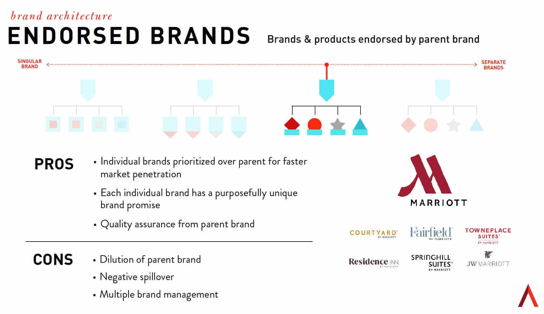 endorsed brands graphic