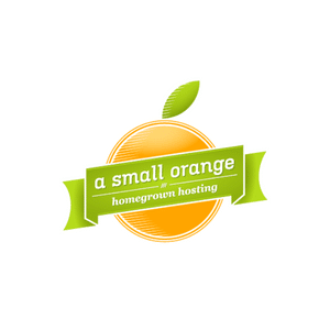 A Small Orange Review - A Small Orange Logo