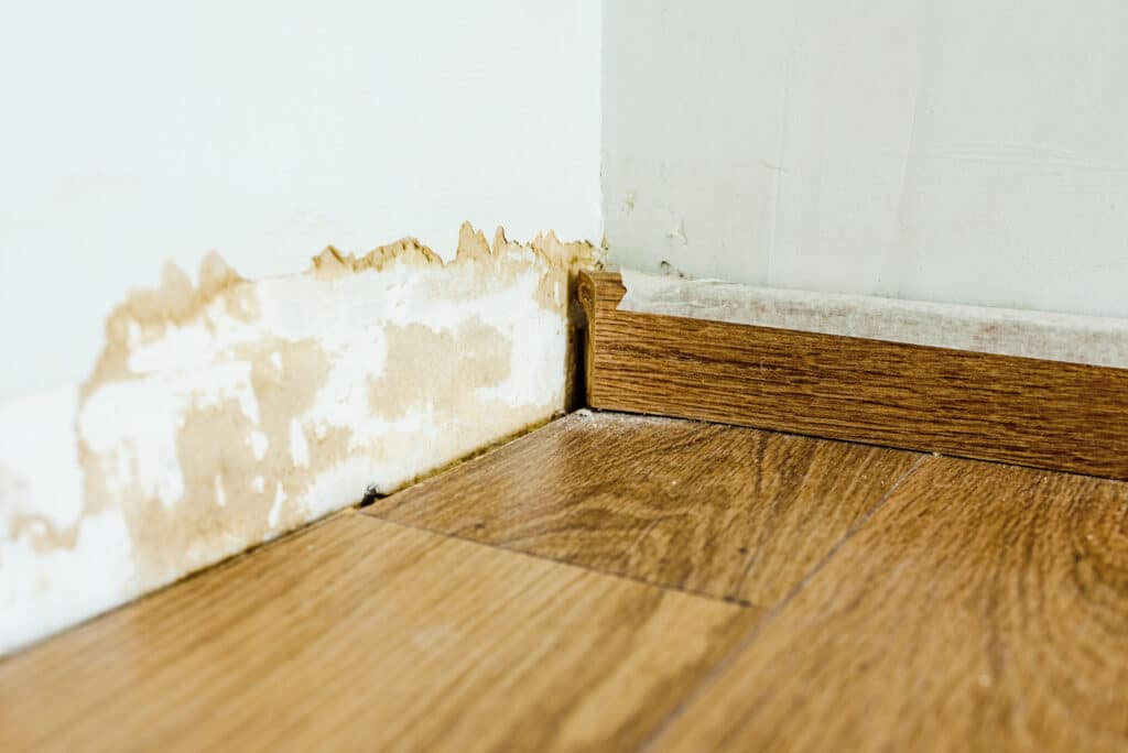 What to Look for When Buying a House, water damage