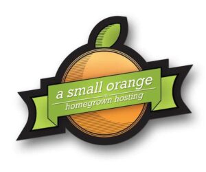 a small orange - featured image