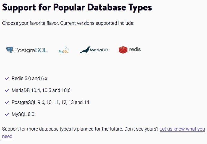 Kinsta Review, Database Hosting Features