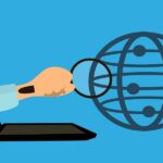 3D Modeling Software