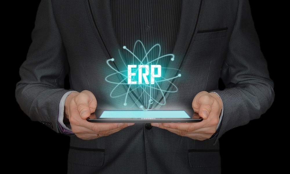 ERP Consultant