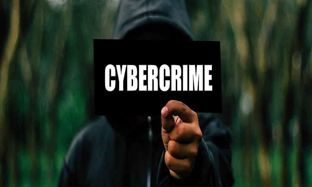 Cybercriminals