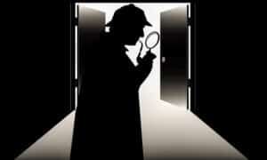 Private Investigator