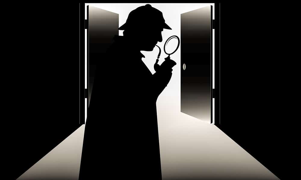 Private Investigator