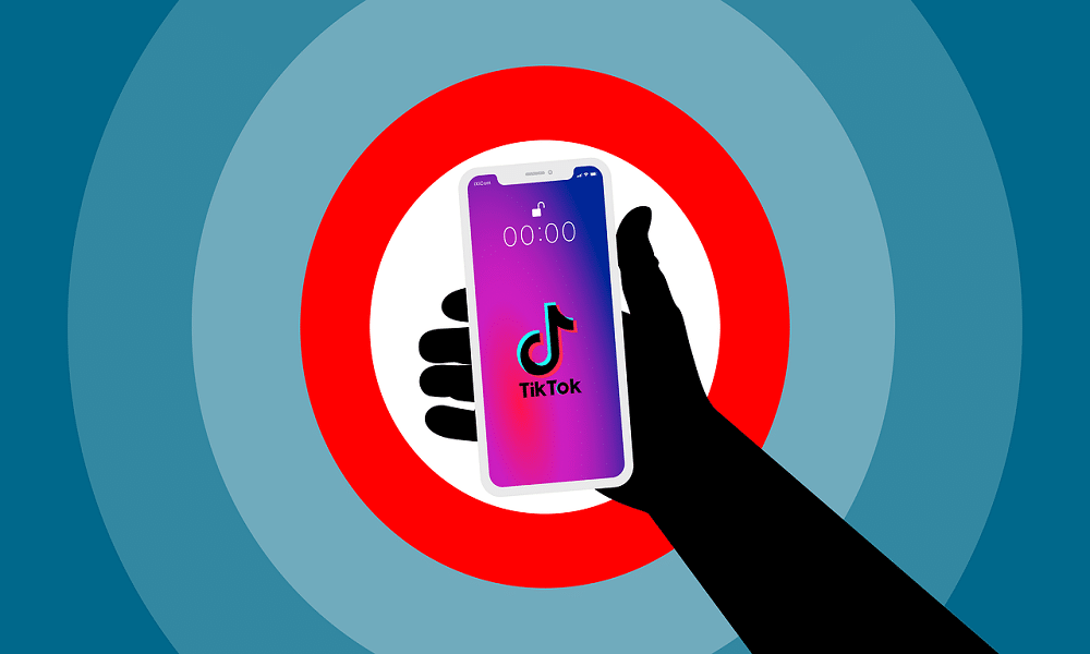 TikTok Videos