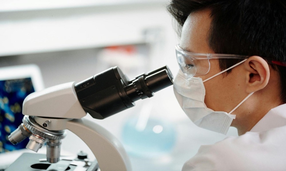 What Business & Research Labs Need to Know Before Investing in a Live Cell Imager
