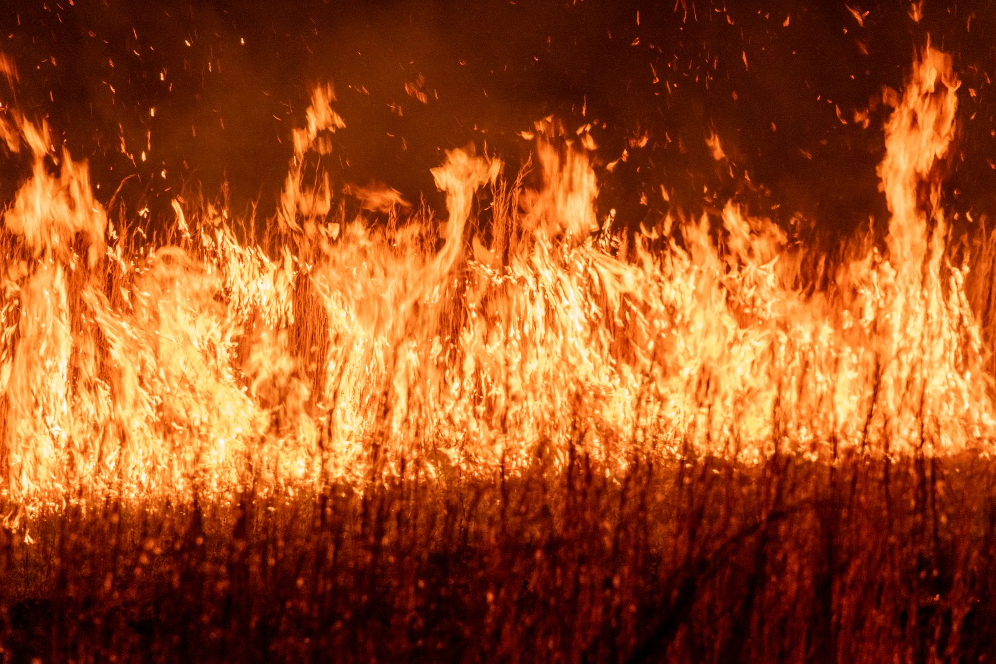 Dynamic image of intense flames during a nighttime field fire, showcasing vibrant heat and energy.