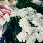 Vibrant display of fresh white and pink carnations wrapped in paper at a flower market.